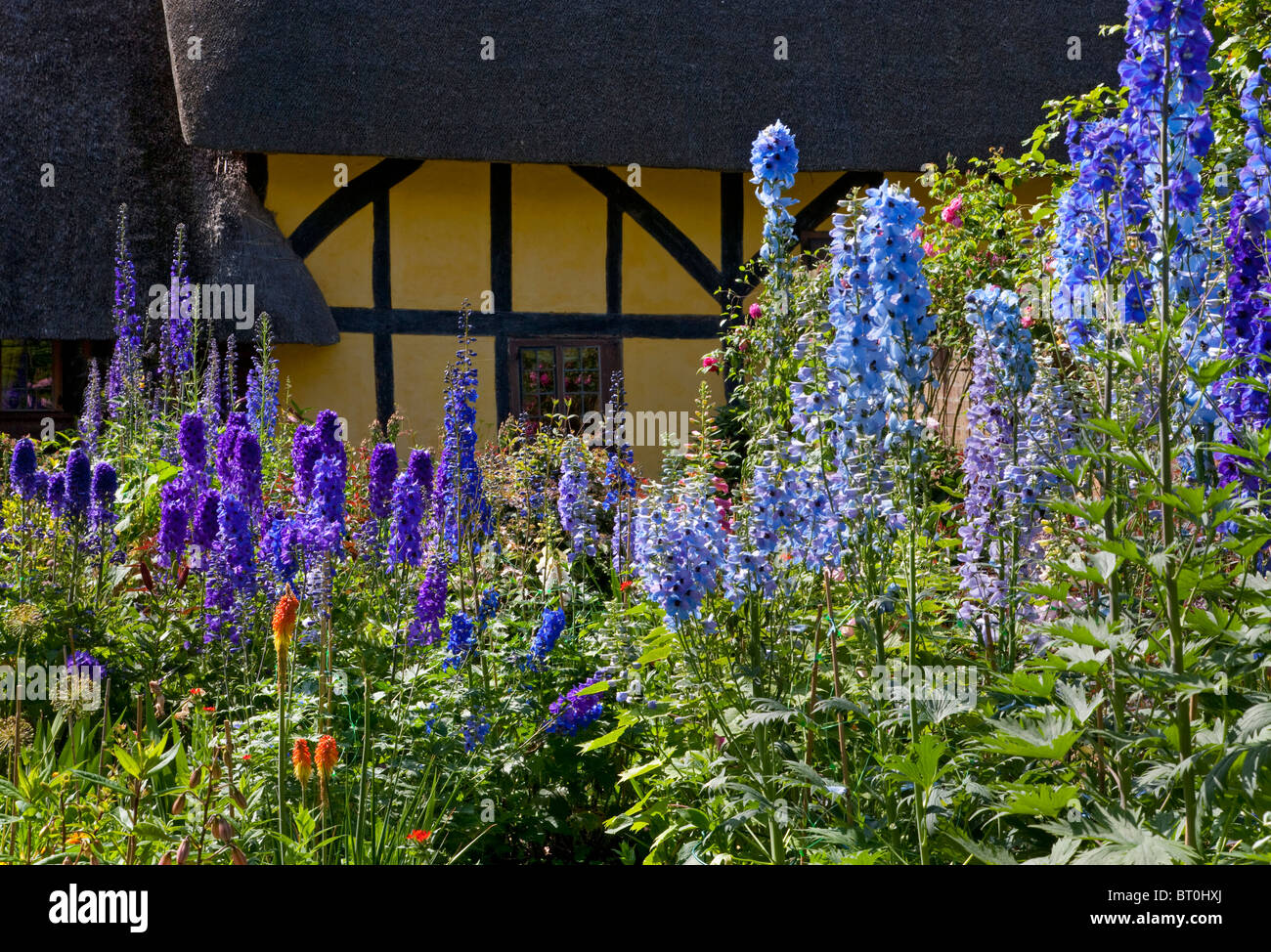 Krautige Sommer Cottage Garten Boarder mit alten englischen Hälfte Holzhaus im Hintergrund Stockfoto