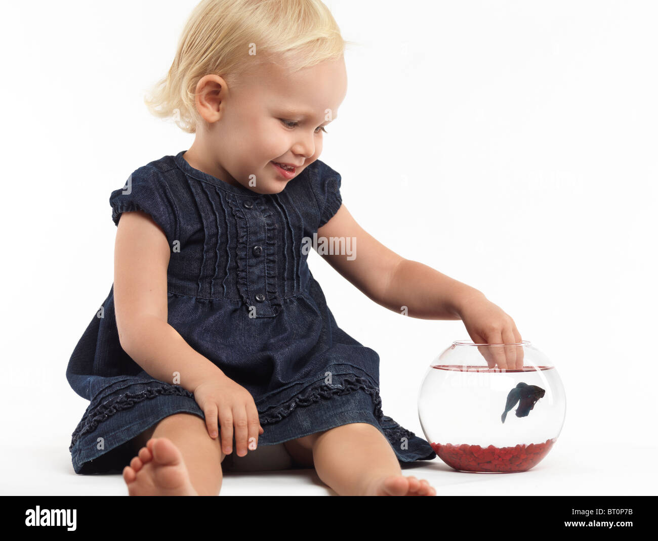 Porträt von einem lächelnden zwei Jahre alten Mädchen spielen mit einem Fisch in eine Schüssel geben, die isoliert auf weißem Hintergrund Stockfoto