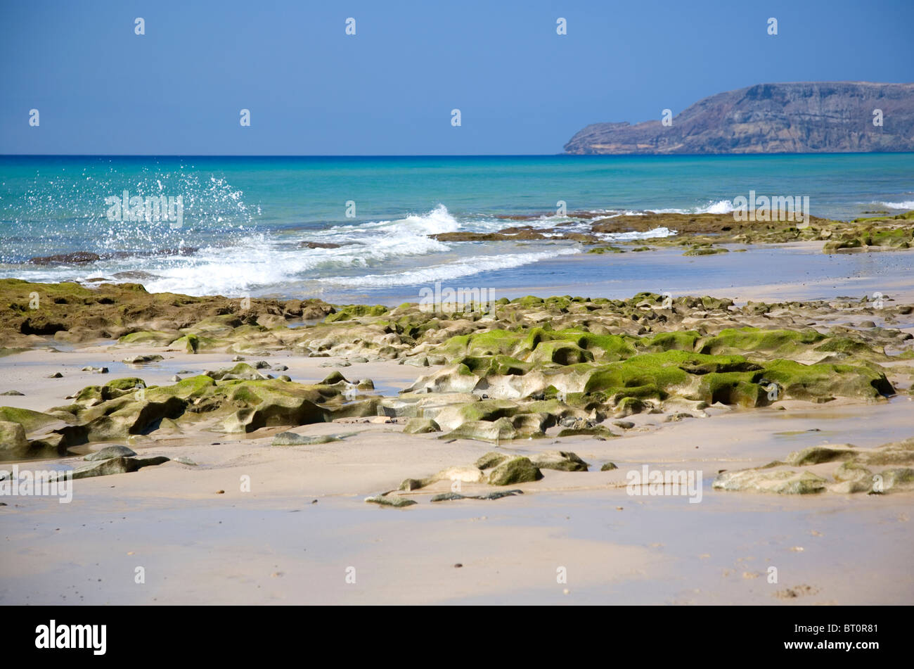 Strand am Strand von Porto Santo - Madeira Stockfoto