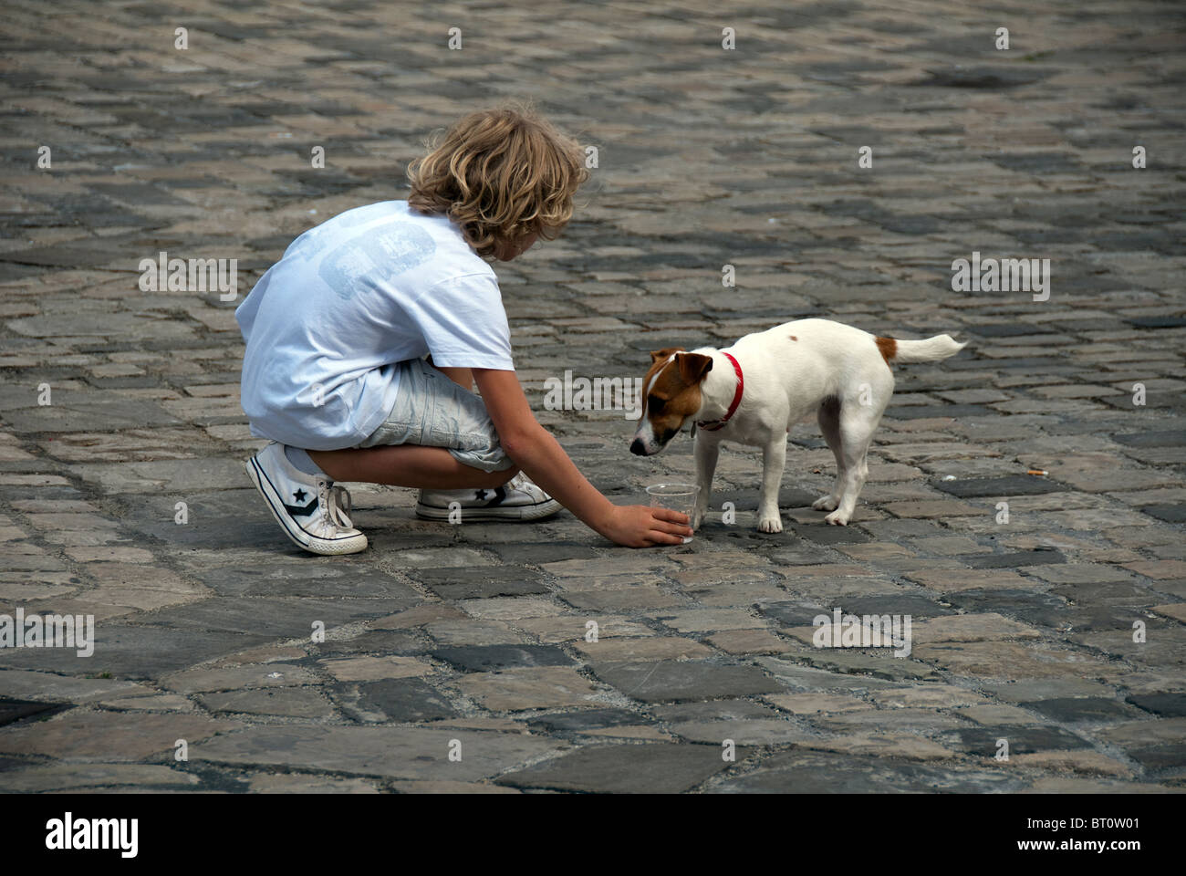 Des Menschen bester Freund: junge Hund gibt eine Tasse Wasser an einem heißen Tag in Italien Stockfoto