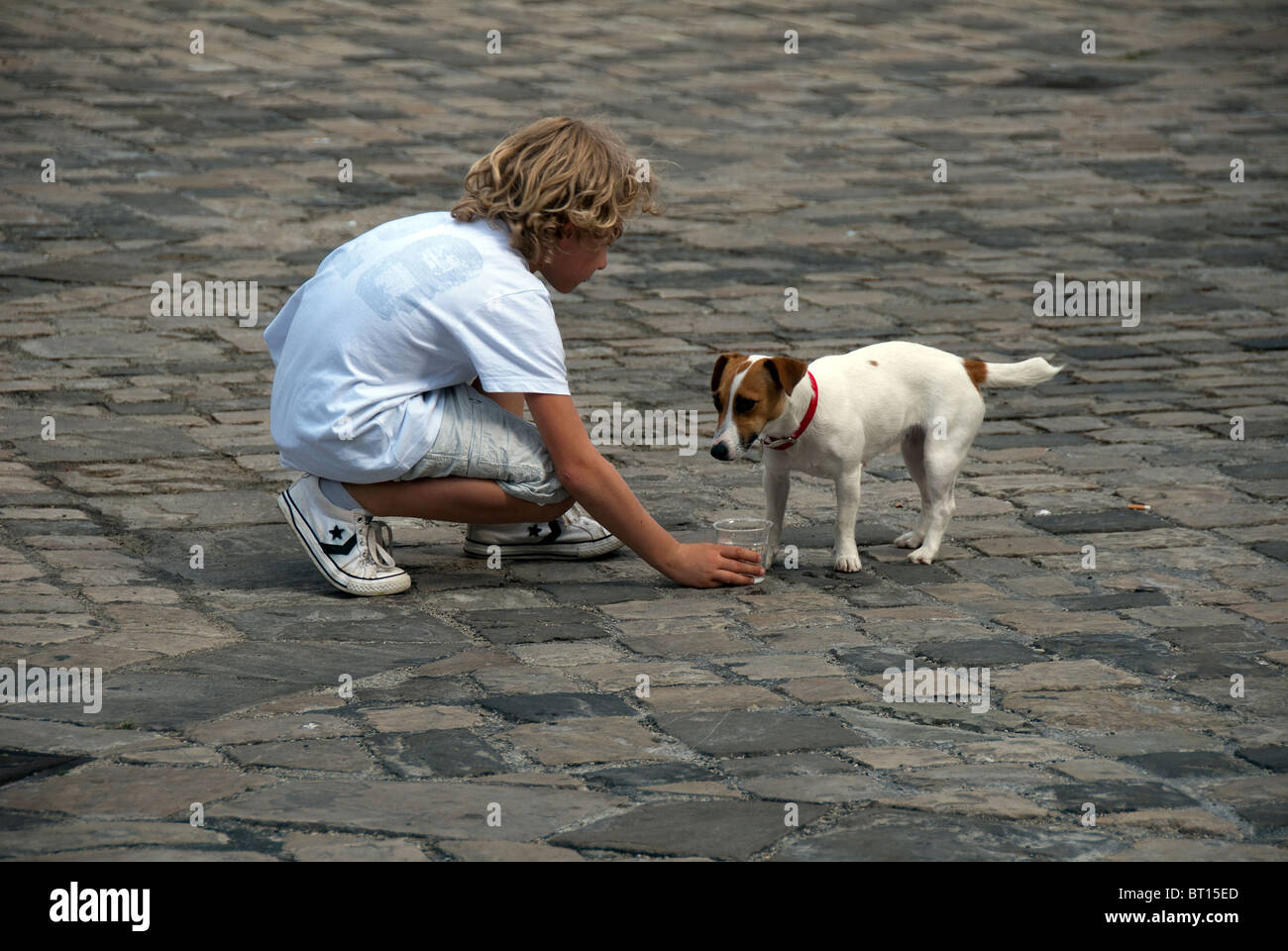 Des Menschen bester Freund: junge Hund gibt eine Tasse Wasser an einem heißen Tag in Italien Stockfoto