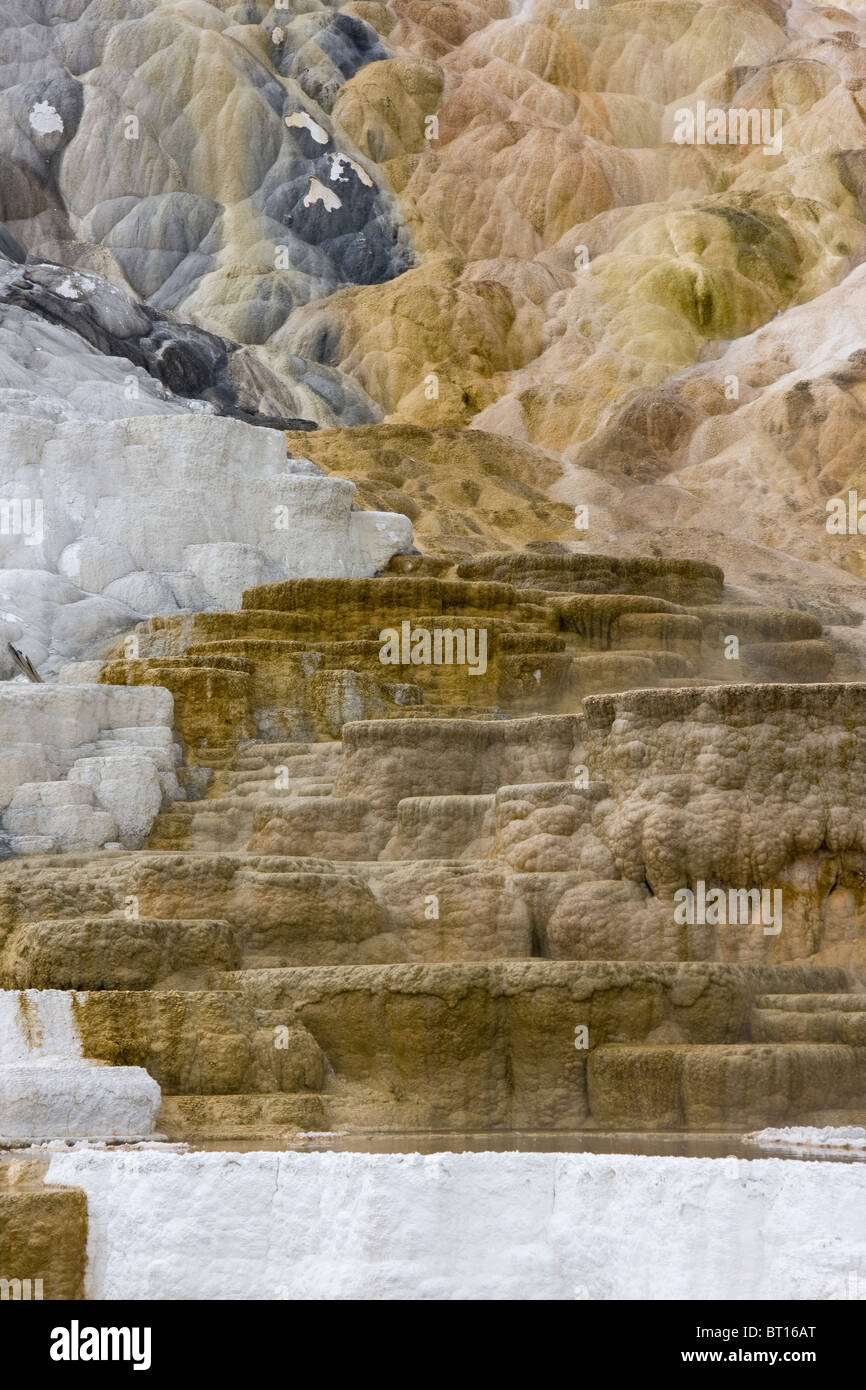 Travertin Terrasse bei Mammoth Hot Springs, Yellowstone-Nationalpark, USA Stockfoto