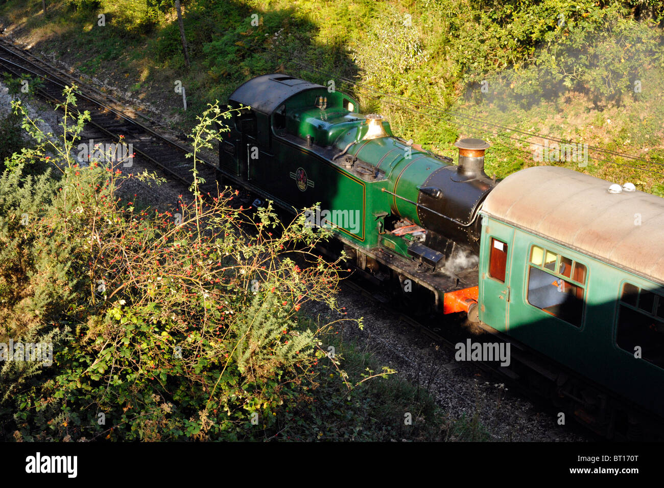 Dampfzug auf der erhaltenen Swanage Bahnstrecke in Betrieb Stockfoto