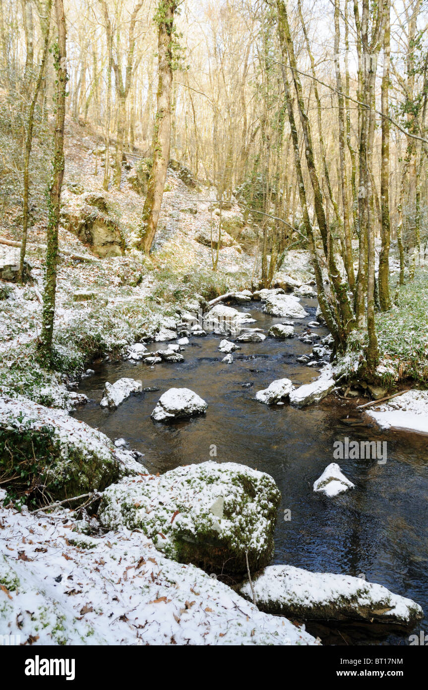 Die Fairy Glen im Wald Mervent, Vendee Frankreich unter einer Flut von frühen Schnee. Stockfoto