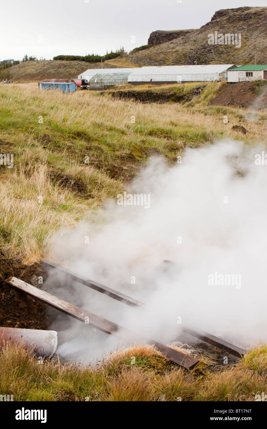 Gewächshäuser in Hveragerdi beheizt durch Erdwärme, Island. Stockfoto