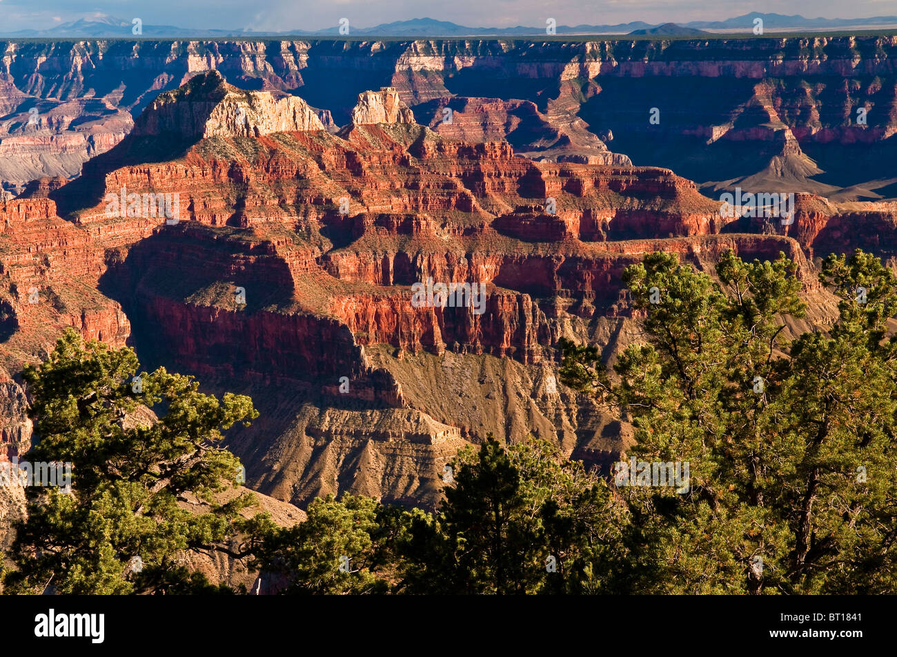 Bright Angel Point, North Rim, Grand Canyon Nationalpark, Arizona, USA Stockfoto