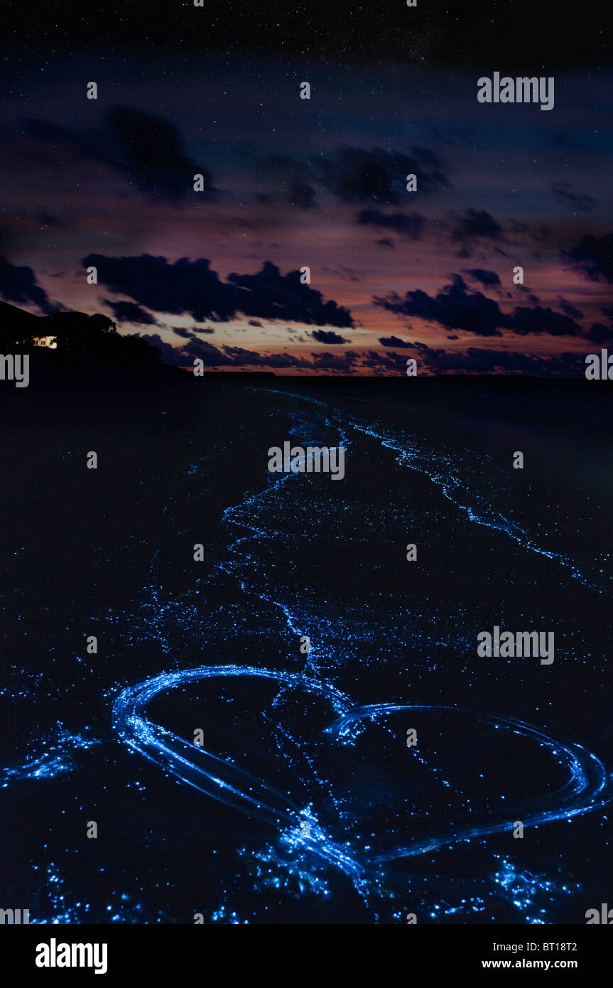 Herz am Strand von Biolumineszenz Algen Noctiluca Scintillans auf den maledivischen Inseln. Stockfoto