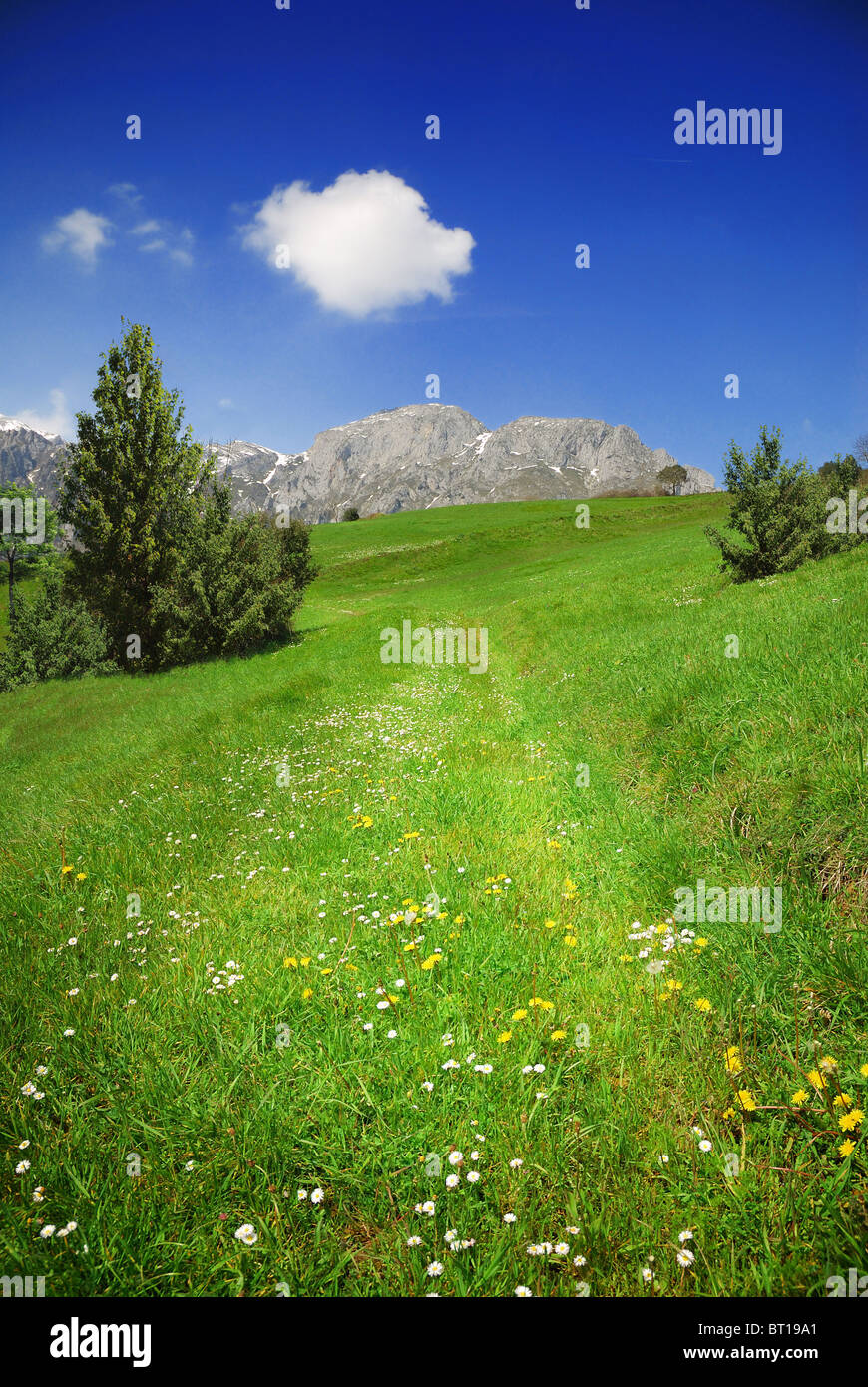 Weg in den Rasen in die Berge Stockfoto