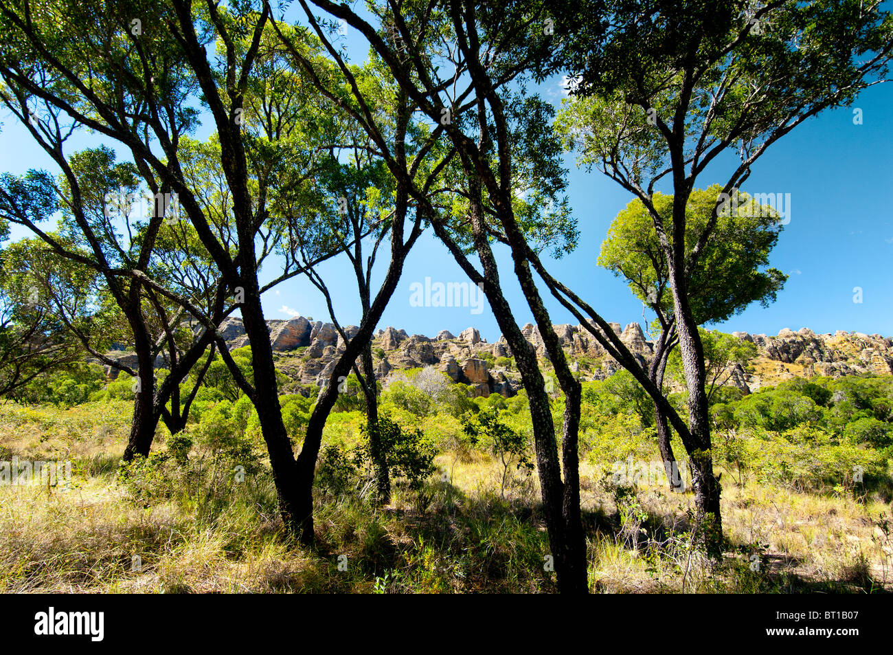 Madagaskar Madagaskar Afrika Landschaft breite Land Sonnenstein sonnigen hellen Felsen Baum Reise Reise Abenteuer Spaziergang Stockfoto