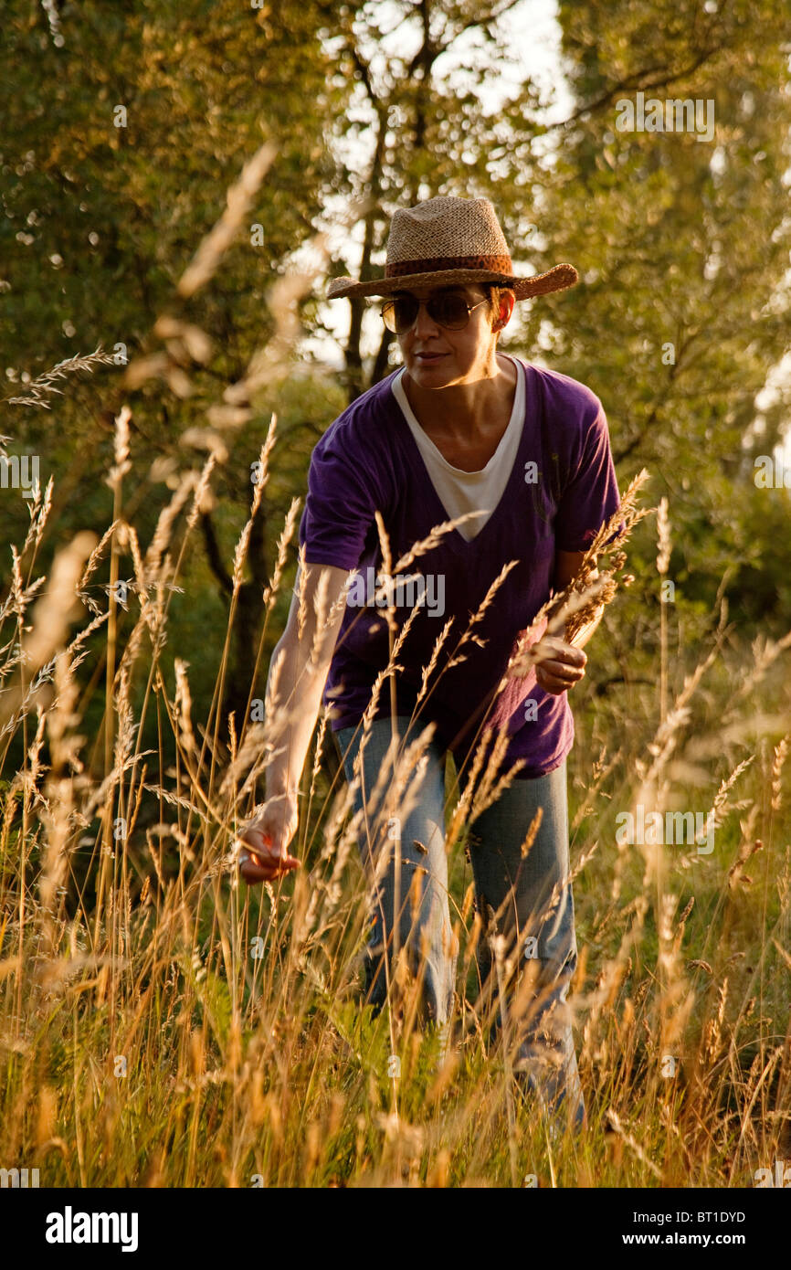 Mujer Recogiendo Flores Secas En el Campo Kantabrien España Frau trockene Blumen pflücken im Feld Kantabrien Spanien Stockfoto