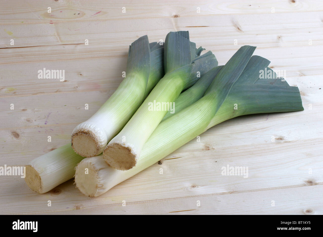 Lauch Stockfoto
