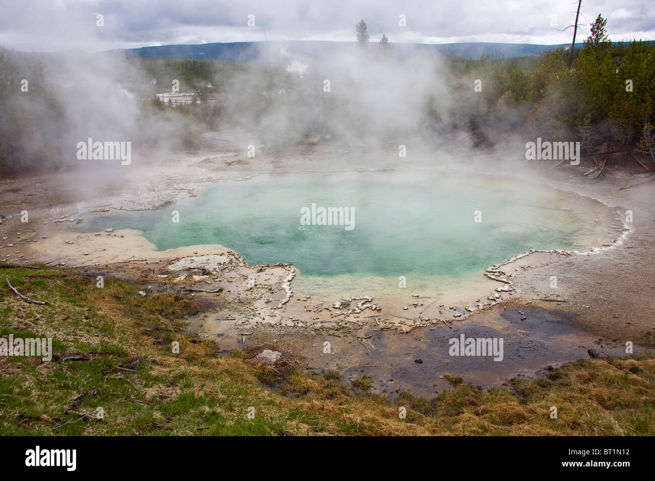 Emerald Frühling, Norris Geyser Basin, Yellowstone National Park, USA Stockfoto