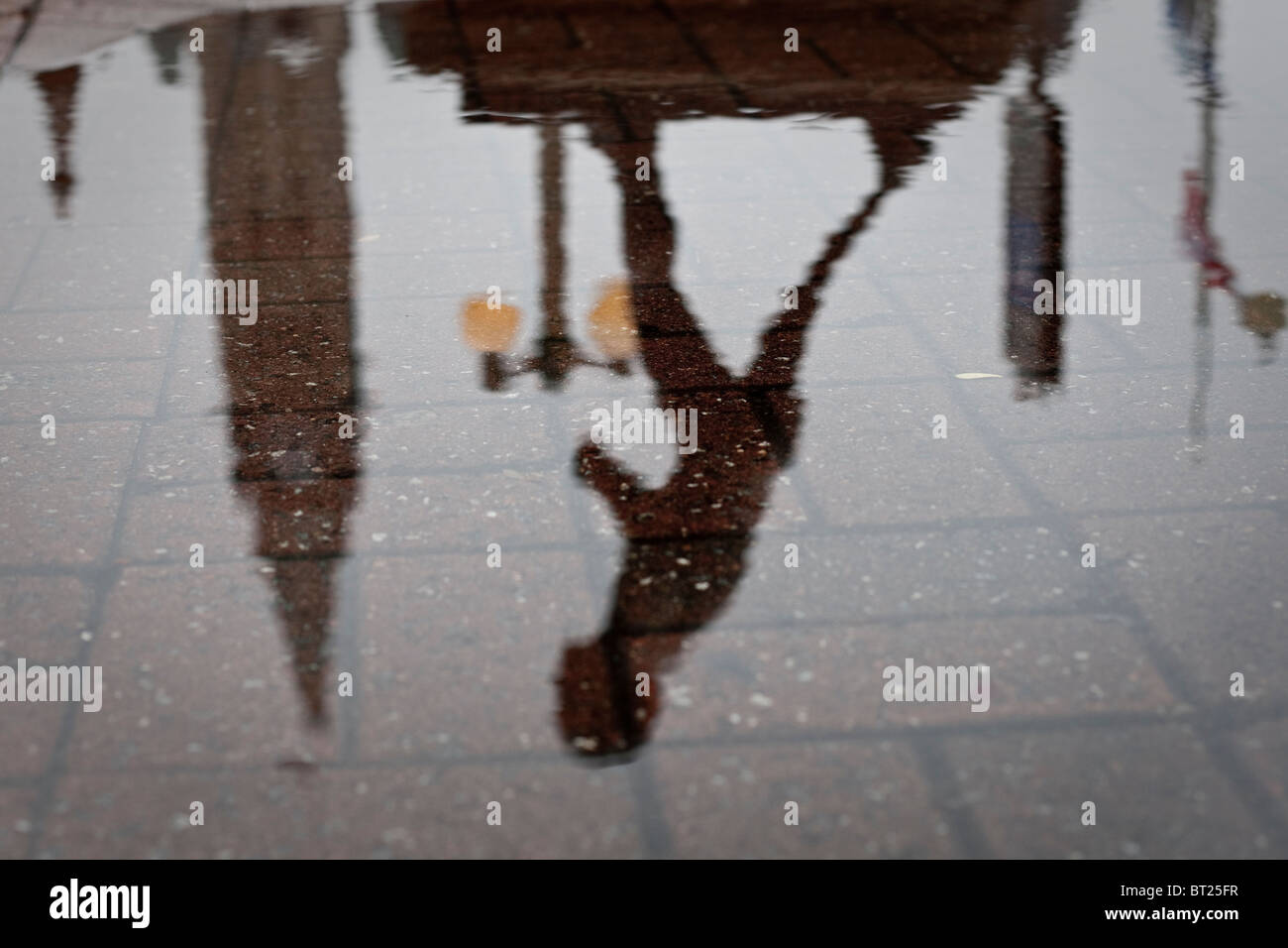 Die Terry Fox Statue und das Parlament Peace Tower spiegeln sich in eine Wasserpfütze in Ottawa Stockfoto