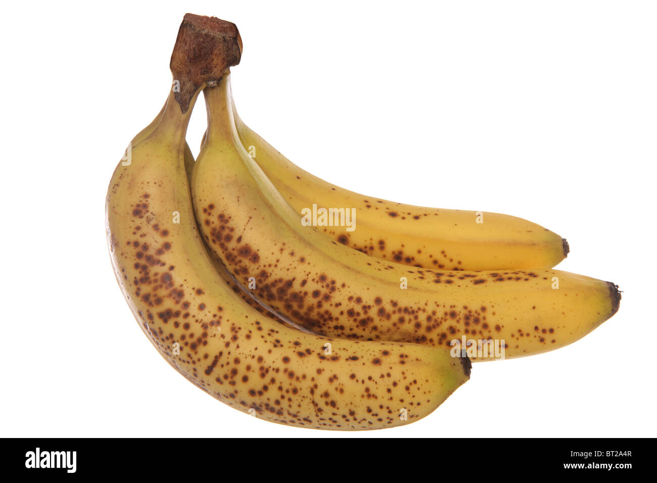 Bündel Bananen Studio Ausschnitt Stockfoto