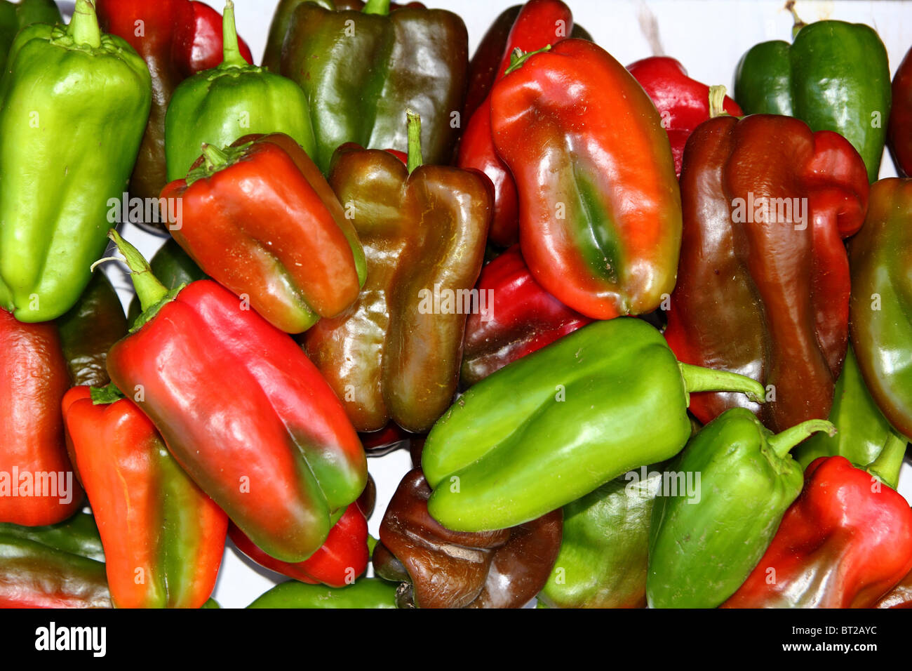 Grüne Paprika frische Rohkost in Markt-Muster Stockfoto