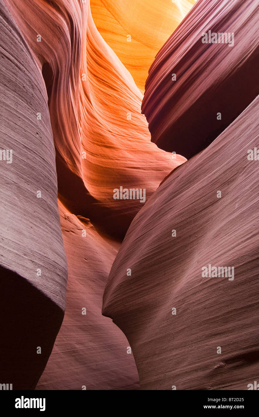 Sandsteinformation im Lower Antelope Canyon, Slot Canyon, Arizona, USA Stockfoto