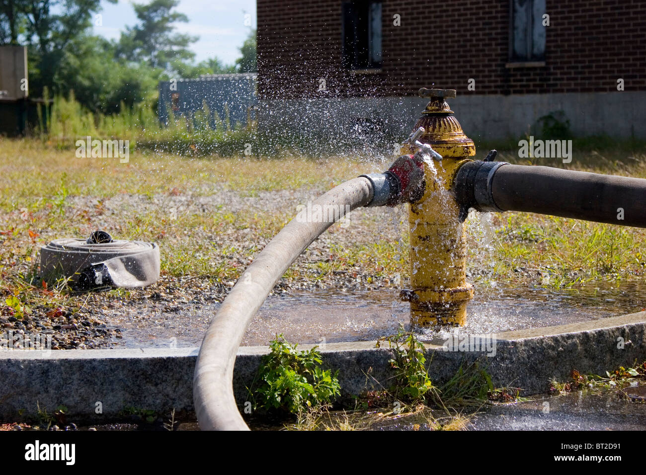 Gelbe Hydranten mit Wasserwerfern beigefügt, Spritzwasser Stockfoto