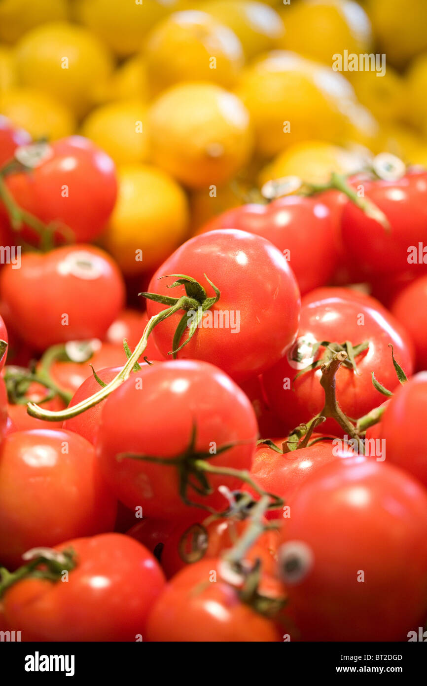 Red Tomato für Hintergrund, Nahaufnahme Schuss Stockfoto
