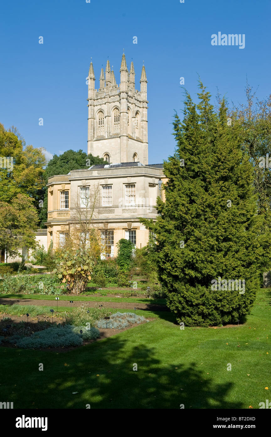 Magdalen College Turm innerhalb der historischen Universitätsstadt Oxford Stockfoto