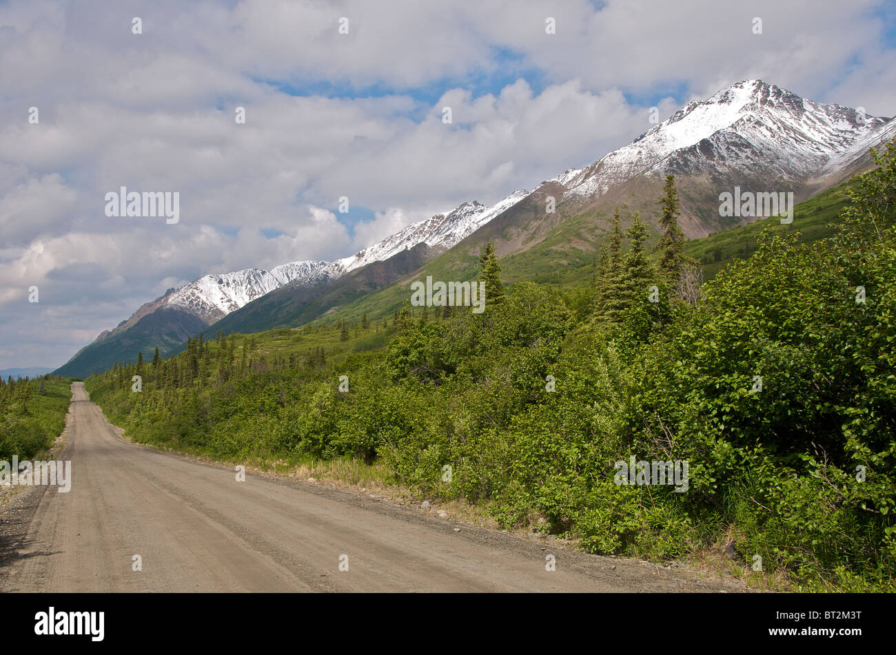 Unbefestigte Straße Denali Highway Alaska USA Stockfoto