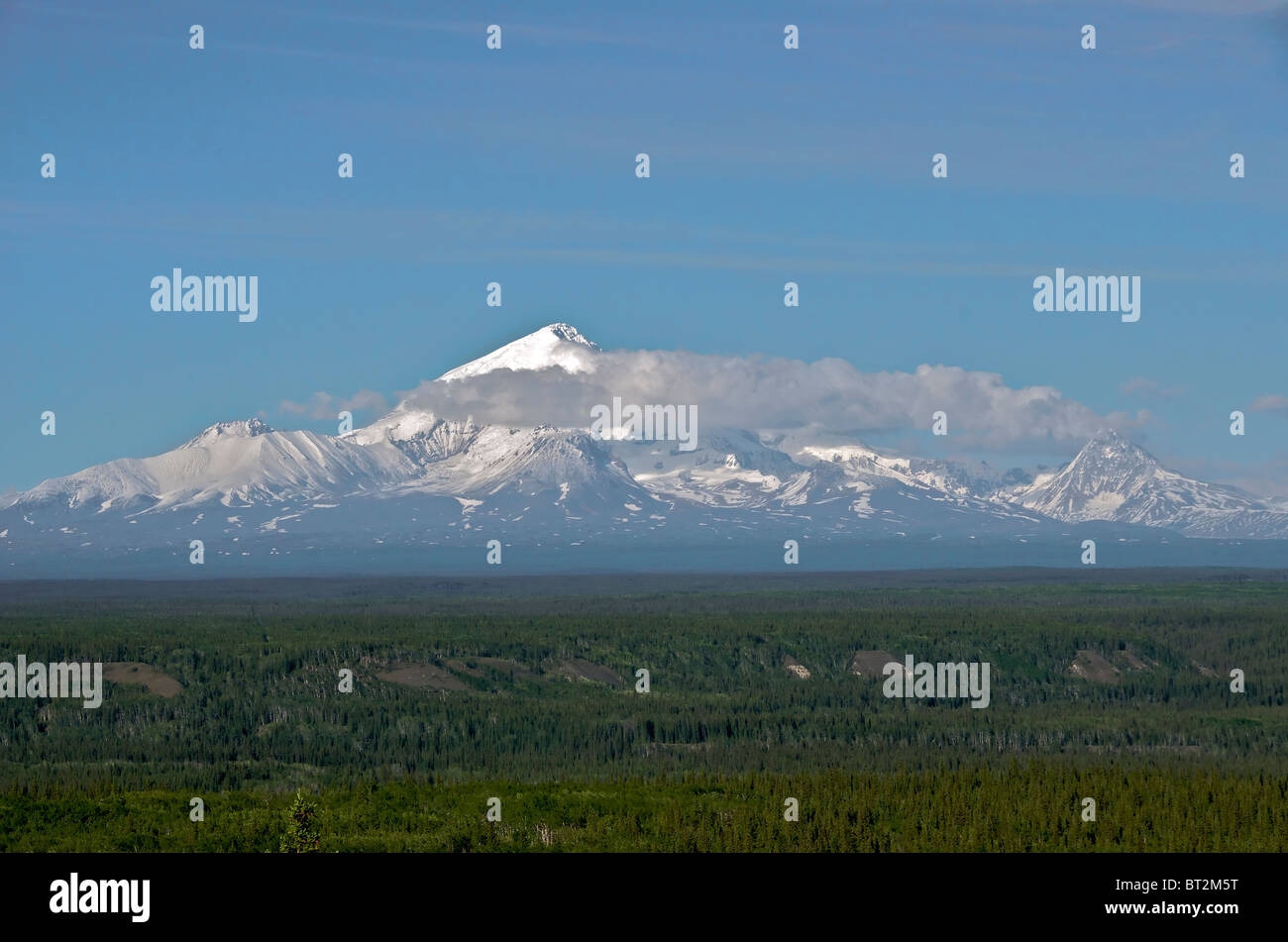Mount Drum Wrangell-St. Elias Nationalpark Alaska USA Stockfoto