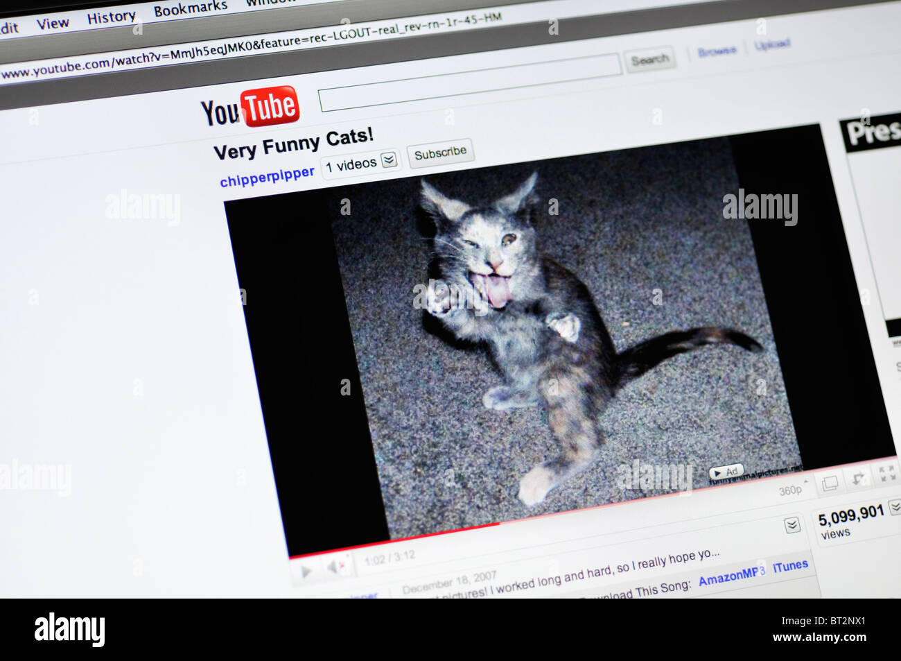 Youtube Website Showing Funny Cat Stockfotos Youtube