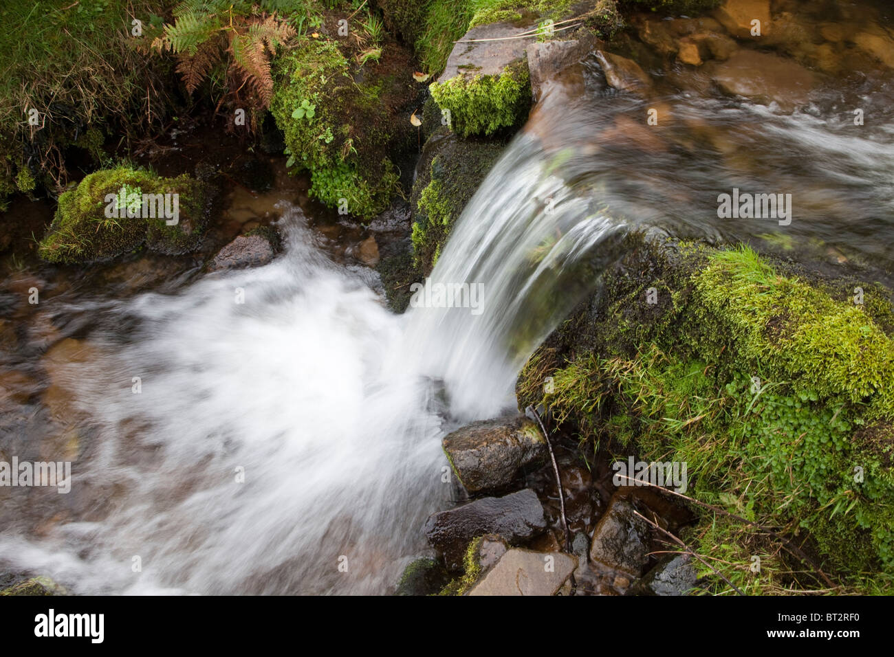 Bemoosten Bach in den Black Mountains Brecon Beacons National Park Wales UK Stockfoto