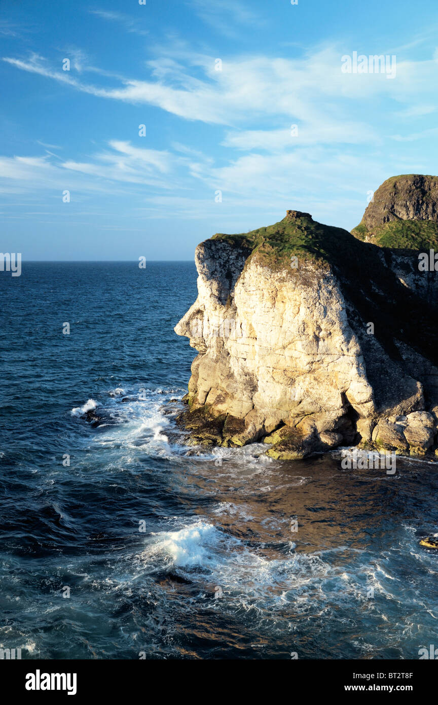 Das Riesen Kopf Kalkstein Felsen Wahrzeichen auf den weißen Felsen in der Nähe von Portrush, Nordirland. Stockfoto