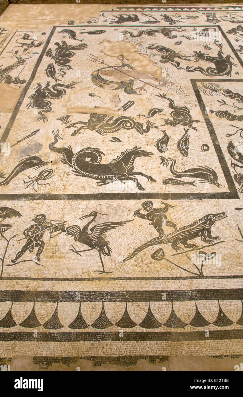 Mosaik Boden in dem Haus Casa de Neptuno / Neptuns Villa / Haus in römischen Stadt Italica / Italica in der Nähe von Sevilla, Spanien. Stockfoto