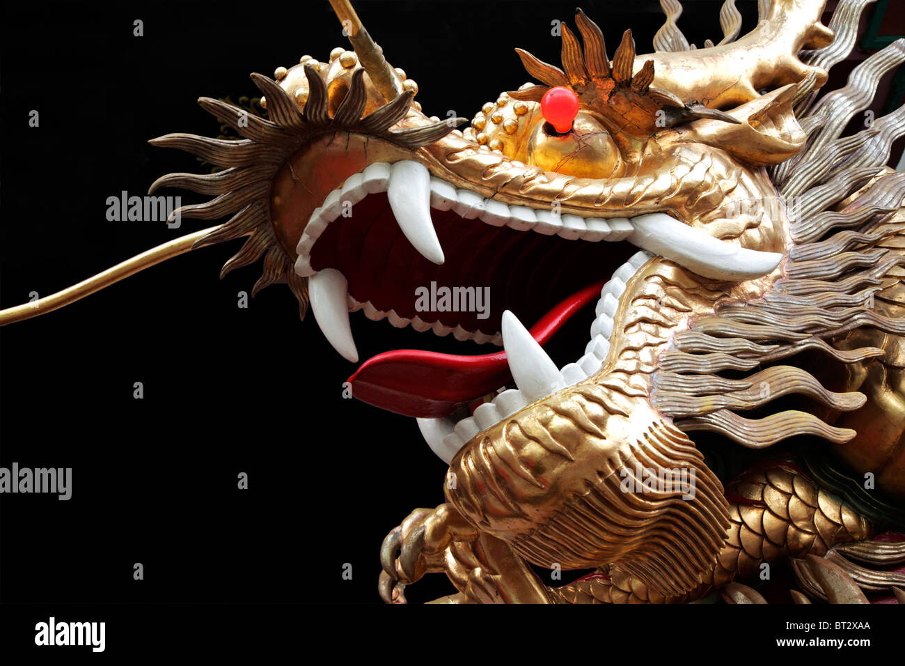Chinesischer Drache mit offenen Mounth vor schwarzem Hintergrund Stockfoto