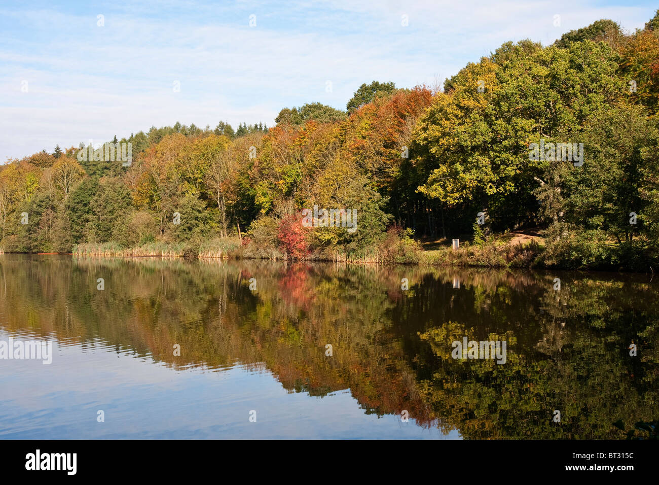 Herbstliche Bäume Wasser reflektieren Stockfoto