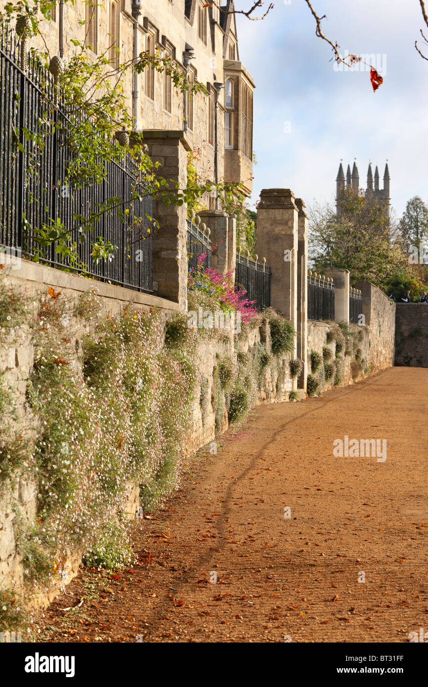 Wände des Merton College, Deadman Spaziergang in Oxford, späten Herbst 1 Stockfoto