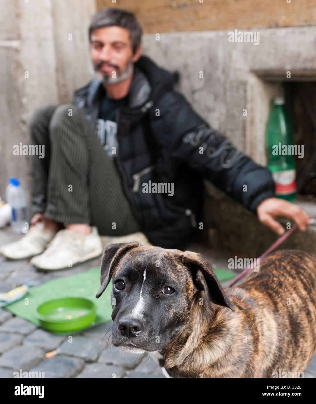 Tramp (Bettler) auf den Straßen von Rom mit Hund. Stockfoto