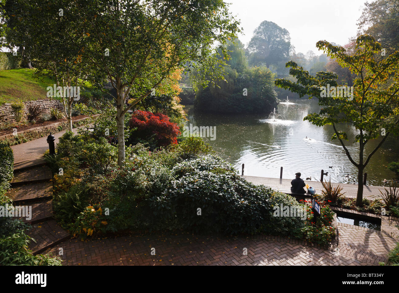 Ein Autumnn Morgen in der Dingle, Quarry Park, Shrewsbury. Stockfoto