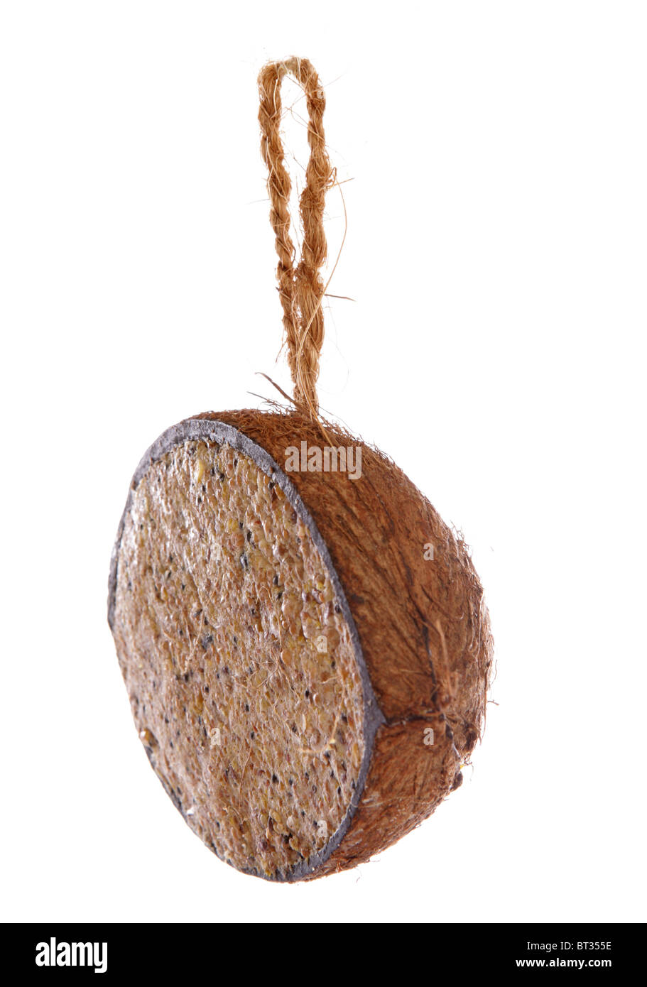 Kokosnuss gefüllt mit Vogel Saatgut Studio Ausschnitt Stockfoto