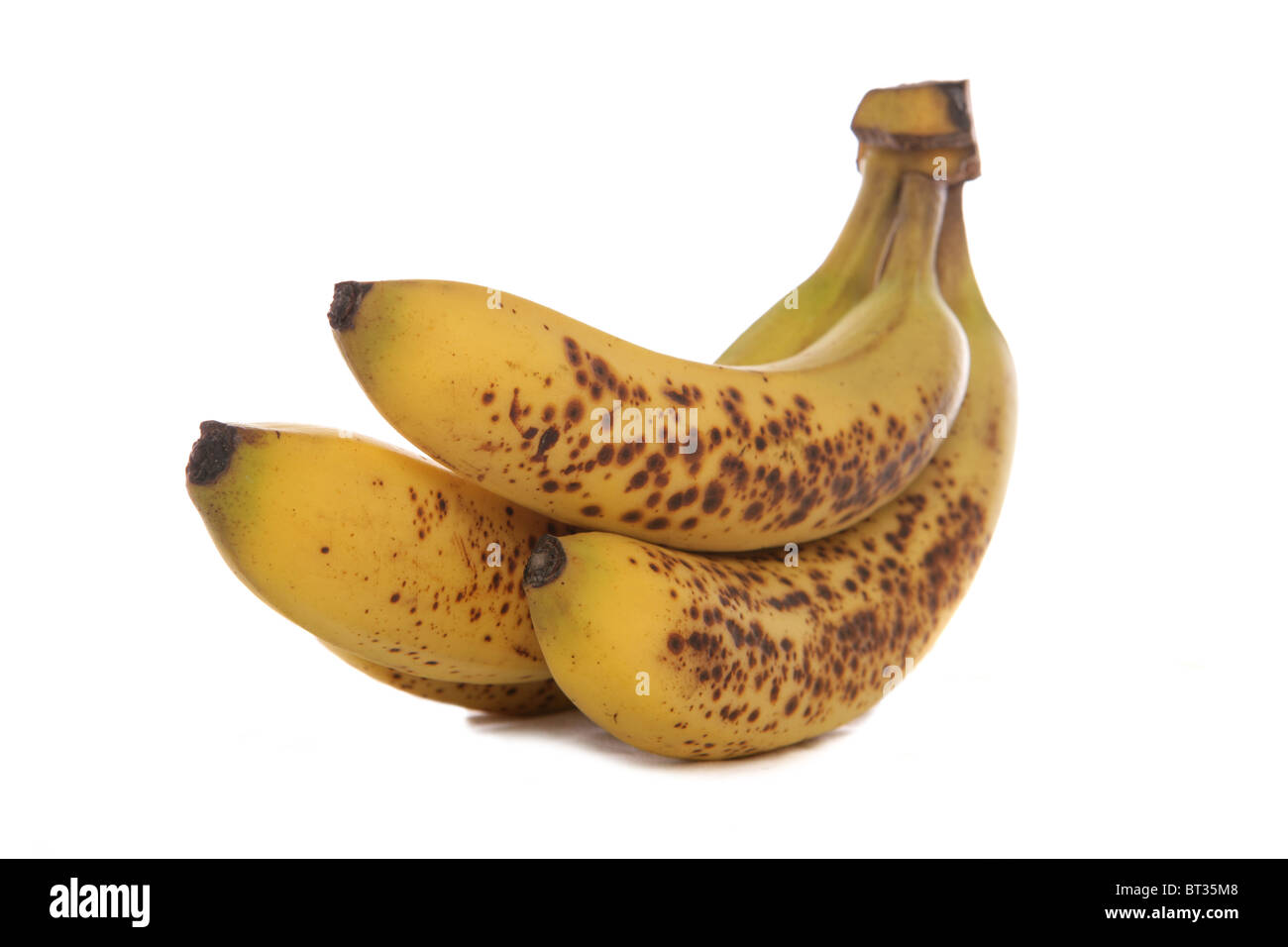 Bündel Bananen Studio Ausschnitt Stockfoto