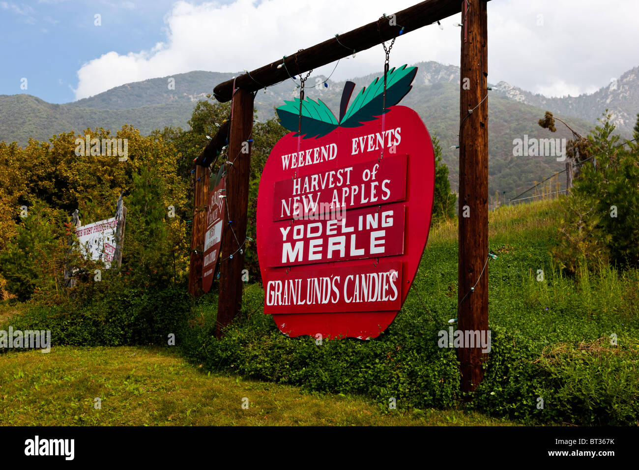 Apfel Ernte, Eiche Glenn, California Stockfoto