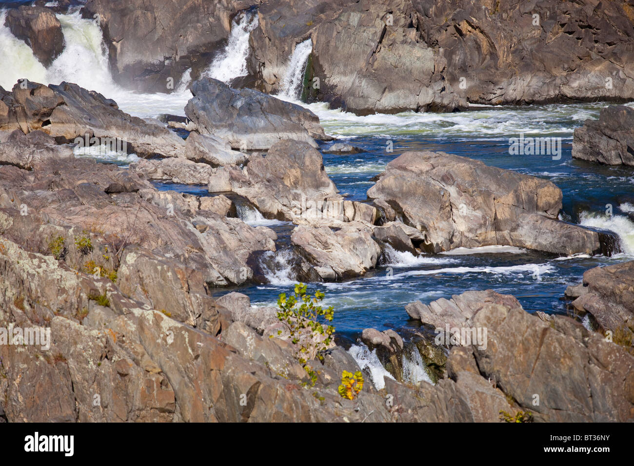 Potomac River Nationalpark Great Falls, Virginia Stockfoto