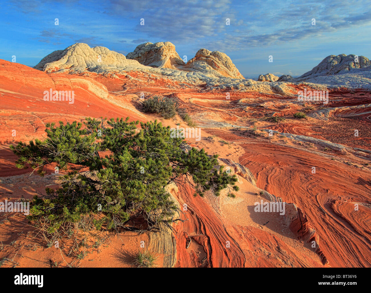 Weiße Tasche in der Vermilion Cliffs National Monument, Arizona Stockfoto