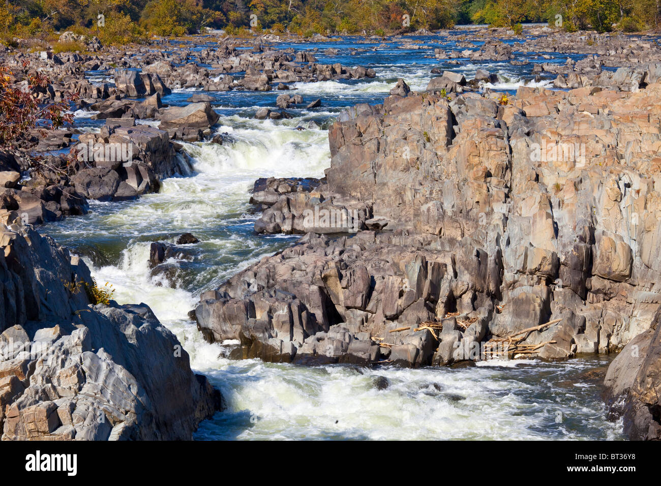 Potomac River Nationalpark Great Falls, Virginia Stockfoto