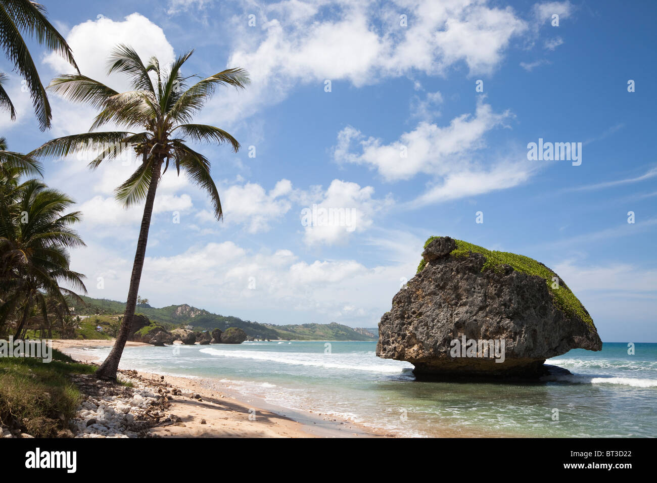 Pilz-Rock, Bathseba, Barbados, West Indies, berühmt wegen der ungewöhnlichen Erosion am Fuße des Felsens Stockfoto