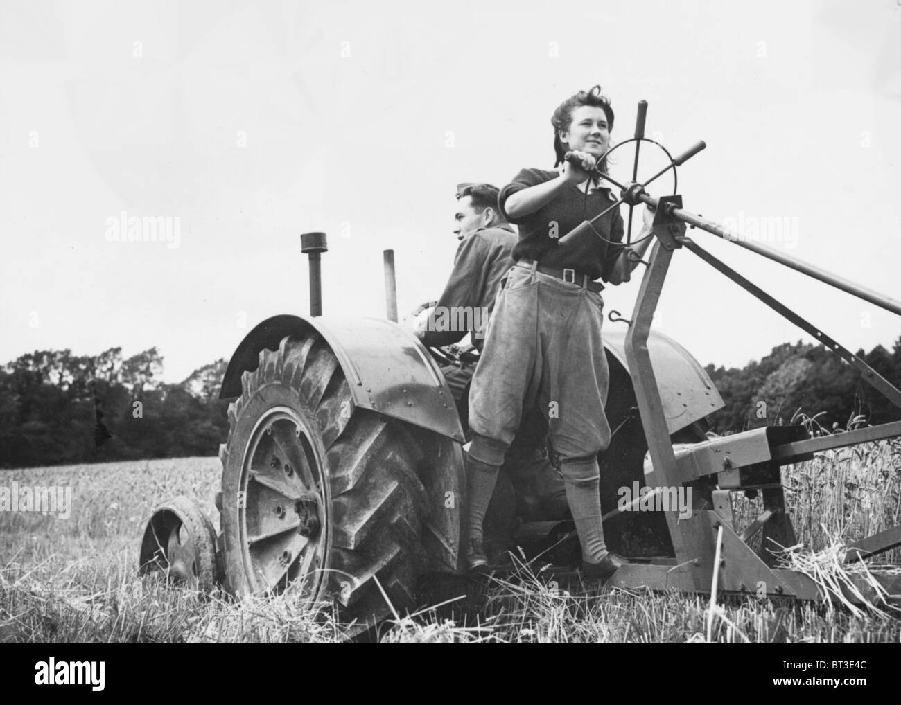 Land Army Girls dazu beigetragen, Großbritannien während des zweiten Weltkrieges gefüttert Stockfoto