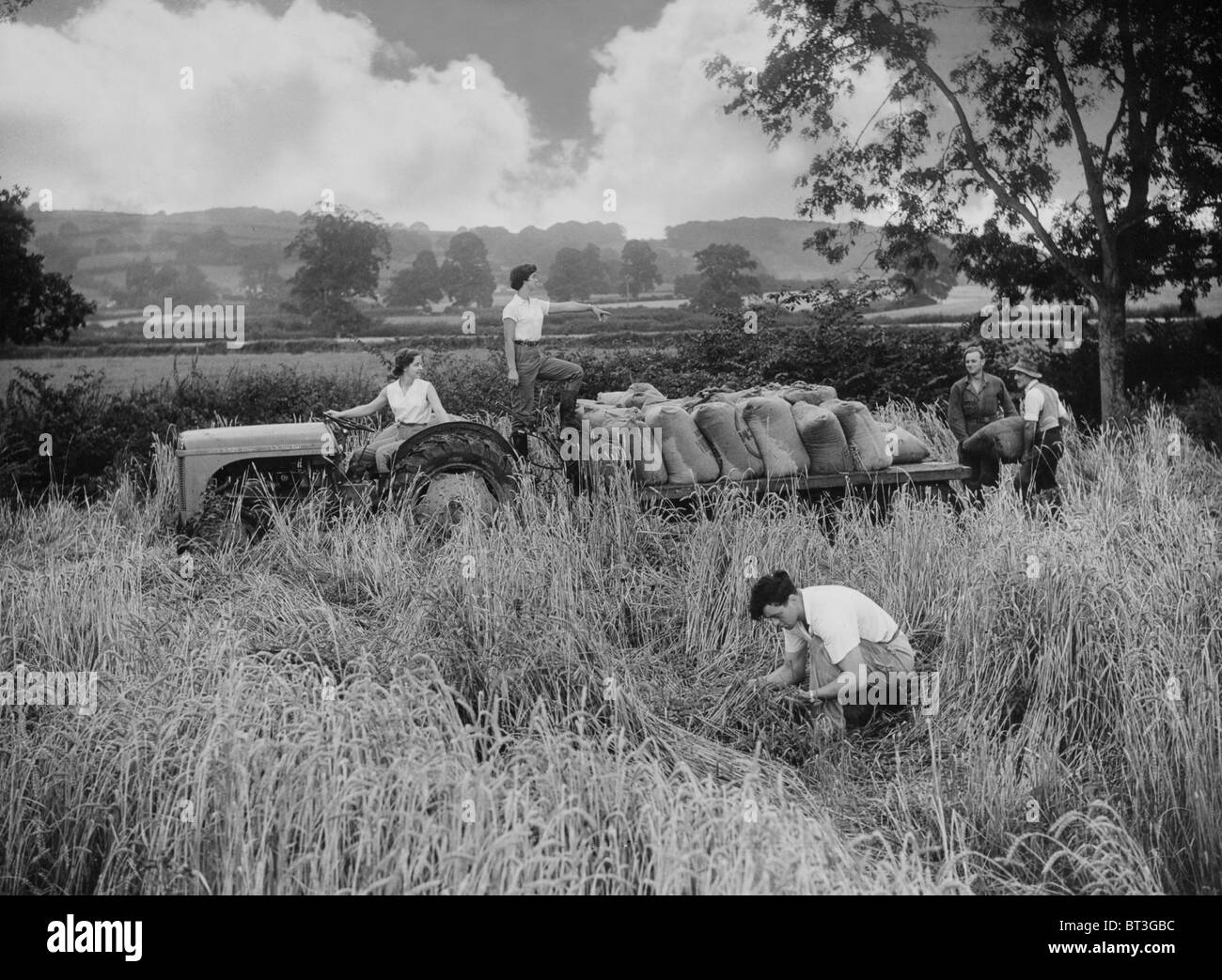 Land Army Girls dazu beigetragen, Großbritannien während des zweiten Weltkrieges gefüttert Stockfoto