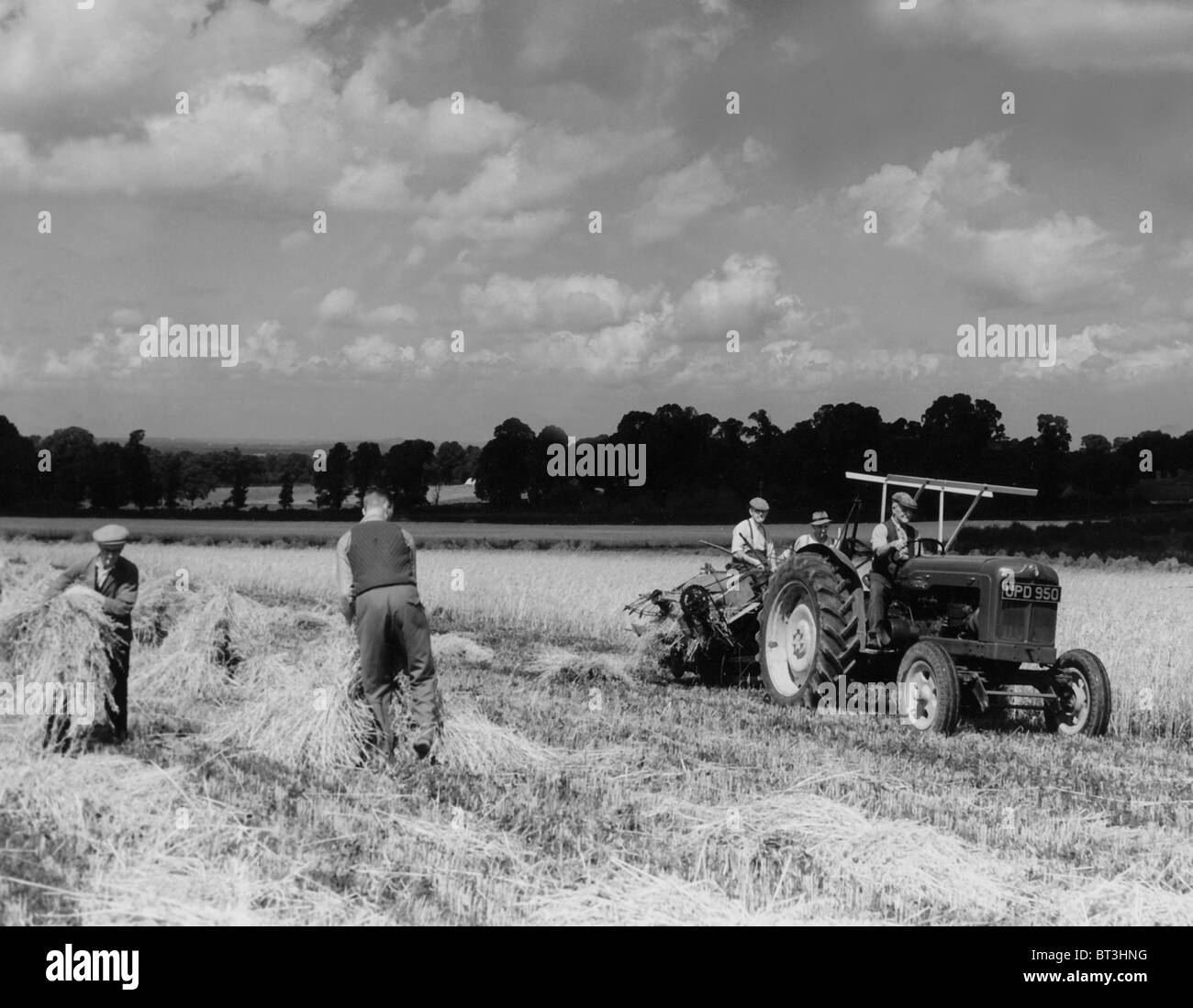 Vintage Bilder aus den 1930er Jahren eine Sammelmappe arbeiten in den Bereichen und später die Herstellung von einem Heuhaufen Landwirtschaft Stockfoto