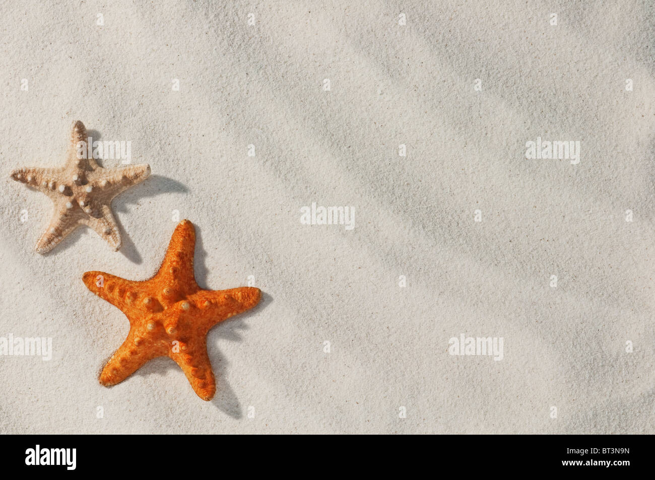 rote Seestern auf Sand hautnah Stockfoto