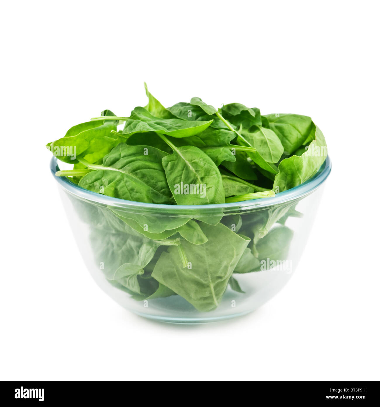 Spinat isoliert auf weißem Hintergrund Stockfoto