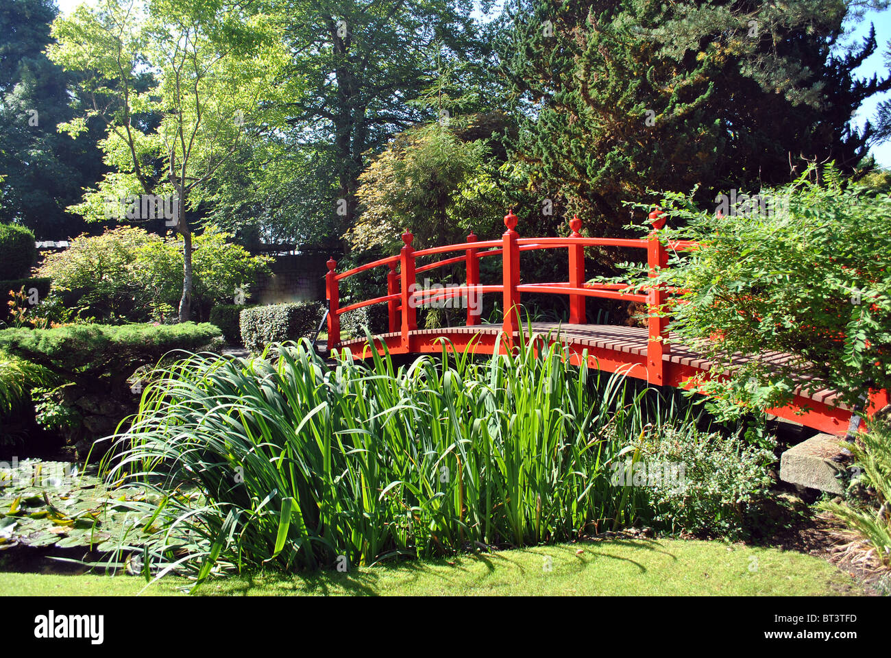 dekorative rote Brücke in kunstvollen Gärten in Kildare, Irland Stockfoto