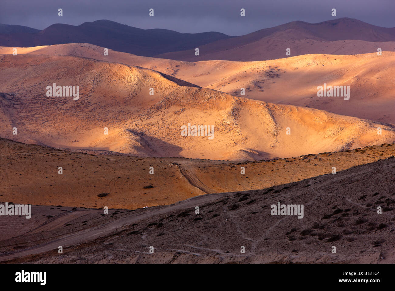 Chile Atacama-Wüste bei Sonnenaufgang Südamerika Sanddünen Pazifikküste von Südamerika, westlich der Anden Chiles Stockfoto