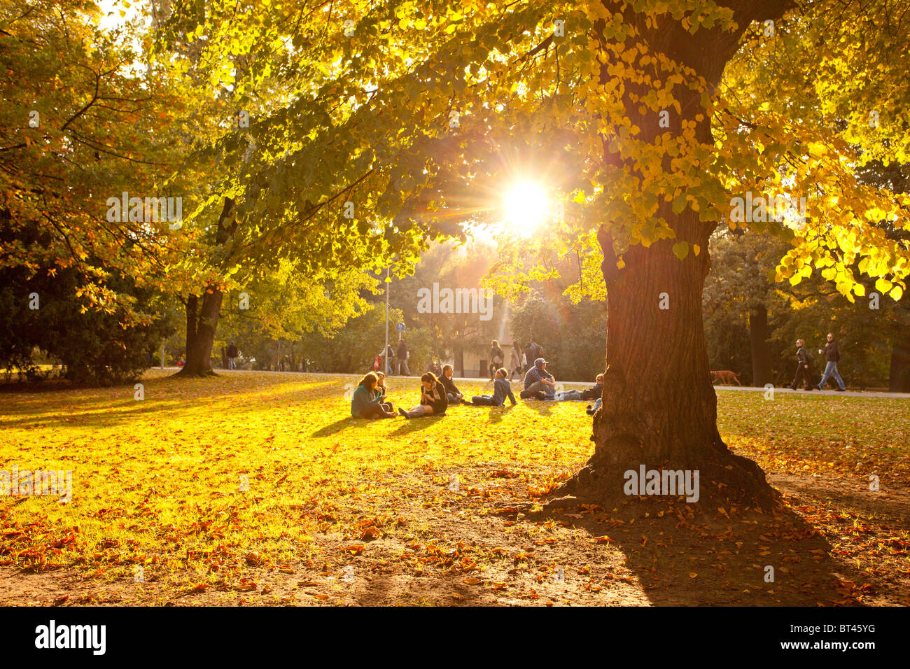 Menschen, die sich an einem sonnigen Herbsttag unter einem großen Baum im Kampa Park in Prag entspannen. Stockfoto