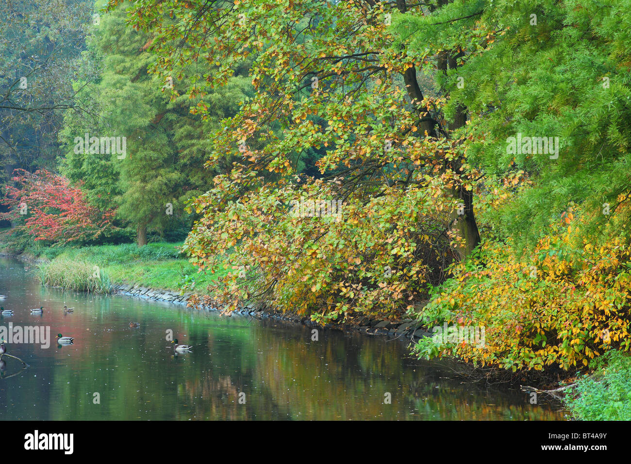 Ruhiges stilles Wasser und Farben des Herbstes Stockfoto